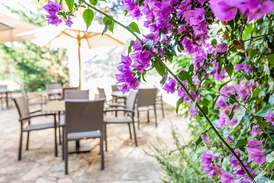 Restaurant Forat 19 - Club Golf d'Aro - Masnou